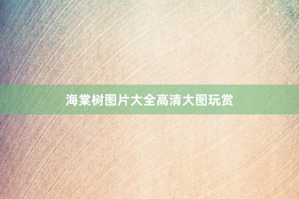 海棠树图片大全高清大图玩赏