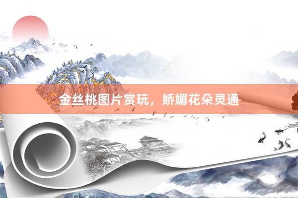 金丝桃图片赏玩，娇媚花朵灵通