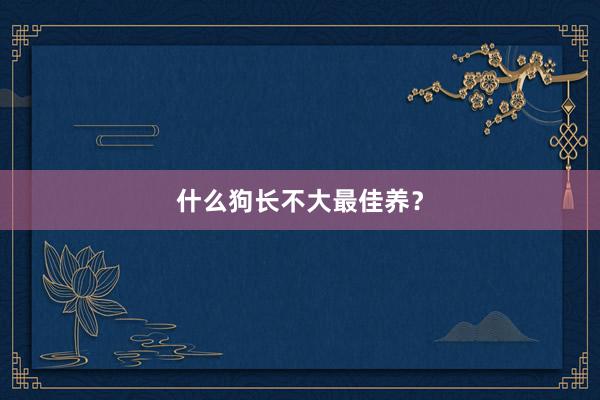 什么狗长不大最佳养？
