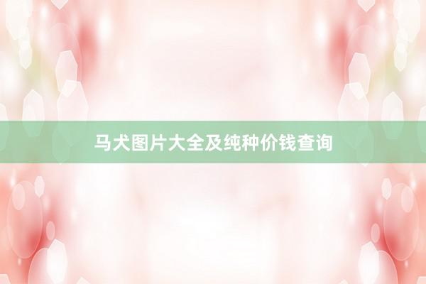 马犬图片大全及纯种价钱查询